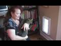 Kedi Bakımı: Kedi Kedi Kapıları Girmek İçin Tren Nasıl Resim 4