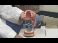 Diş Sağlığı : Diş Hekimi Bir Boşluğu Doldurmak Mı? Resim 3
