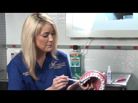Sağlıklı Diş Bakımı : Diş Yüzeyleri Nelerdir?