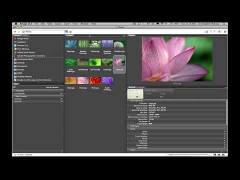 Yt - Photoshop Eğitimi: Adobe Bridge 2 Ve Photoshop Cs3: İlk Bakış Resim 1