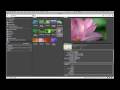 Yt - Photoshop Eğitimi: Adobe Bridge 2 Ve Photoshop Cs3: İlk Bakış Resim 3