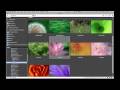 Yt - Photoshop Eğitimi: Adobe Bridge 2 Ve Photoshop Cs3: İlk Bakış Resim 4