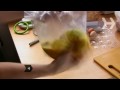 Nasıl Bir Çantada Bir Omlet Yapmak Resim 3