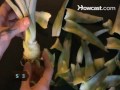 Nasıl Evde Kendi Ananas Büyümeye