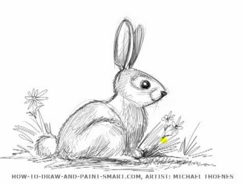 Çizim Ders: Nasıl Bir Tavşan Beraberlik İçin