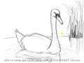 Çizim Ders: Nasıl Bir Kuğu Beraberlik İçin Resim 3
