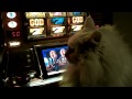 Casino Kitty Sayısı Jackpot!