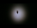 Nasıl Bir Hamamböceği Göz Gece Zaman Yapılır Resim 3