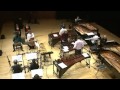 Steve Reich - 18 Müzisyenler İçin Müzik [2008 Japonya] Resim 3