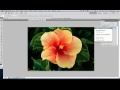 Adobe Photoshop Maskeleme Katmanı Resim 3