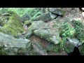 2 - Bölüm 20 - Uçurumun Tırmanma Vahşi Doğada Hayatta Kalmak