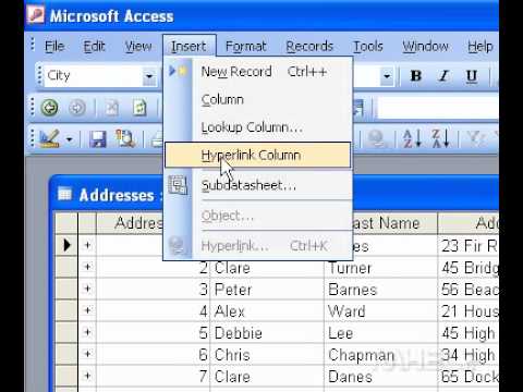 Microsoft Office Access 2003 Bir Köprü Sütunu Ekle