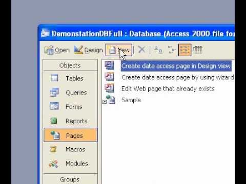 Microsoft Office Access 2003 Bir Tema Uygulamak