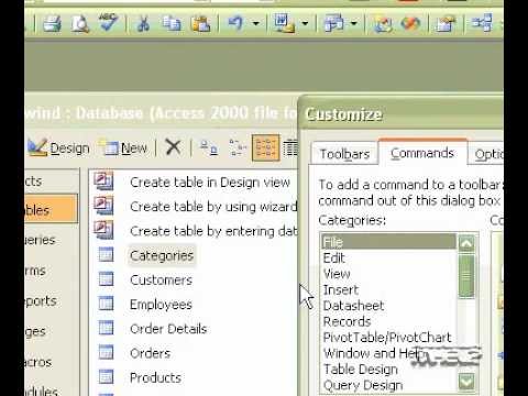 Microsoft Office Access 2003 Ekle Menüsüne Bir Alt Menü Resim 1