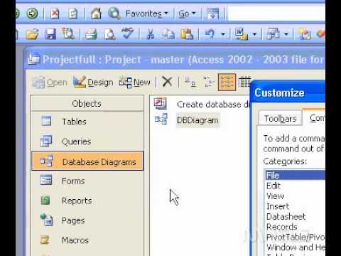 Microsoft Office Access 2003 Ekleme Veya Kaldırma Araç Çubukları Ve Menüler