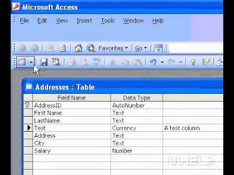 Microsoft Office Access 2003 Eklentisi Bir Tabloya Alan Bir Resim 1