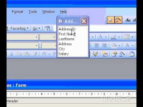 Microsoft Office Access 2003 Göster Veya Gizle Alan Listesi Resim 1