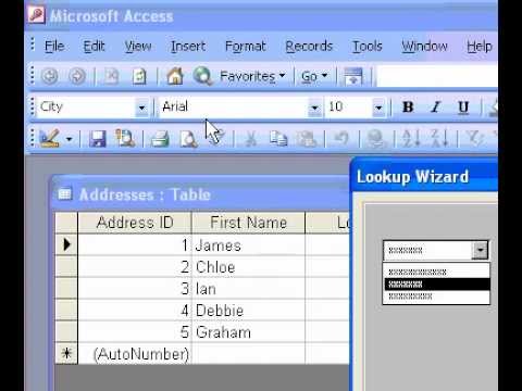 Microsoft Office Access 2003 Oluşturmak Arayan Veya Tablolardaki Değerleri Listeleyen Alan Bir