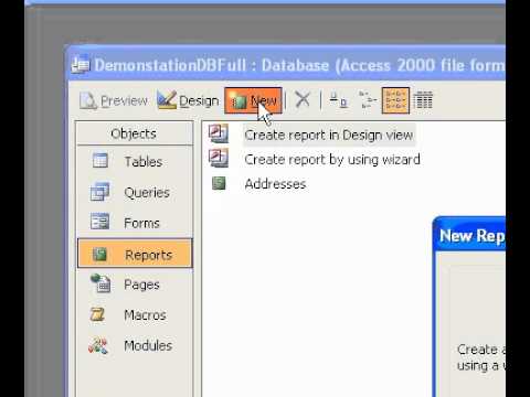 Microsoft Office Access 2003 Oluşturmak Bir Otomatik Rapor Kullanarak Raporu Resim 1
