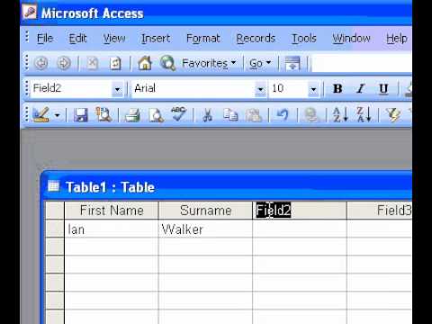 Microsoft Office Access 2003 Oluşturmak Tablo Bir Veri Sayfasında Veri Girerek Bir