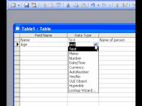 Microsoft Office Access 2003 Oluşturmak Tablo Tasarım Görünümünde Bir