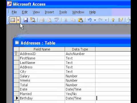 Microsoft Office Access 2003 Tarih Ve Saat Veri Türleri Resim 1