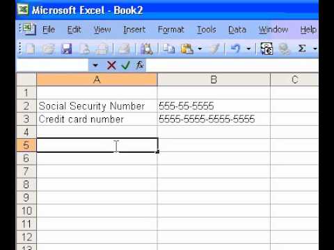 Microsoft Office Excel 2003 Kimlik Numaralarının Yalnızca Son Dört Rakamını Görüntüleme Resim 1