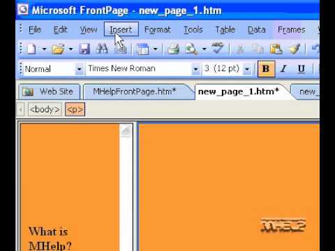 Microsoft Office Frontpage 2003 Bir Forma Onay Kutusu Ekleme Resim 1