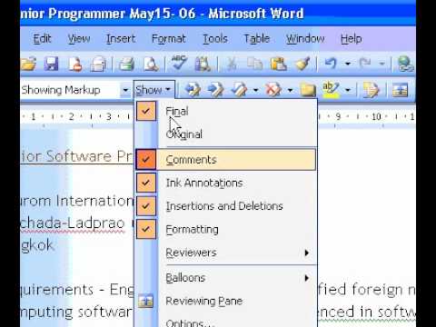 Microsoft Office Word 2003 Silin Yorumlarına Belirli Bir Gözden Geçiren