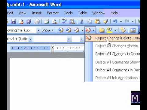 Microsoft Office Word 2003 Tüm Açıklamaları Sil Resim 1