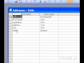 Microsoft Office Access 2003 Ayarla Ve Görünümünü Biçimlendirmek İçin Bir Tablo İçinde Bir Alanı