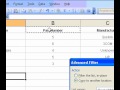 Microsoft Office Excel 2003 Bir Filtre Kullanarak Benzersiz Değerlerin Sayısını Saymak Resim 3