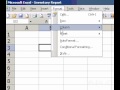 Microsoft Office Excel 2003 Yeniden Adlandırmak Bir Levha Resim 3