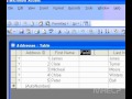 Microsoft Office Access 2003 Eklentisi Bir Tabloya Alan Bir Resim 4