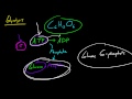 Biyoloji Ders - 32 - Glikoliz (Yatırım Aşamasında) Resim 4