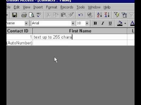 Microsoft Office Access 2000 Metin Veri Türleri Resim 1