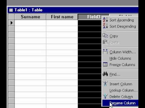 Microsoft Office Access 2000 Oluşturma Veri Sayfası Görünümünde Bir Tablo