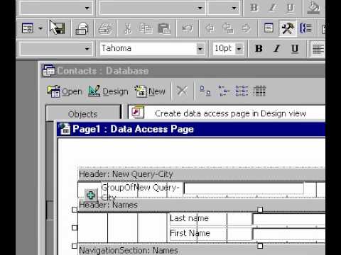Veri Sayfasını Microsoft Office Access 2000 Oluşturun