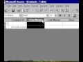 Microsoft Office Access 2000 Dondurma Alanları