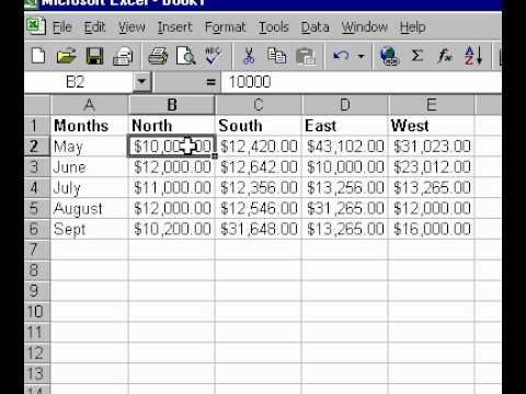 Microsoft Office Excel 2000 Dondurma Sütunlar Ve Satırlar