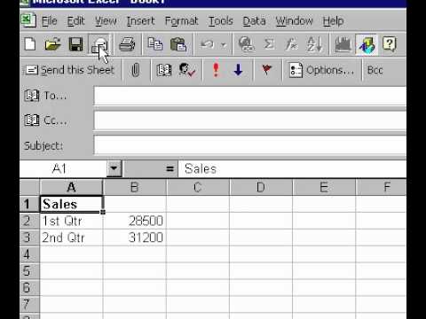 Microsoft Office Excel 2000 E-Posta Çalışma Sayfası