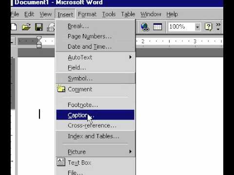 Microsoft Office Excel 2000 Embed Çalışma Sayfası Başka Bir Uygulamaya
