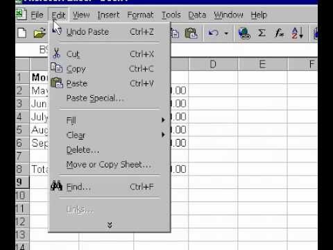 Microsoft Office Excel 2000 Kopya Çalışma Resim 1