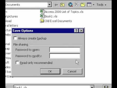 Microsoft Office Excel 2000 Parola Korumak Çalışma Kitabı