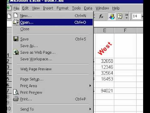 Microsoft Office Excel 2000 Seçerek Belirli Yazdırma Alanları Resim 1
