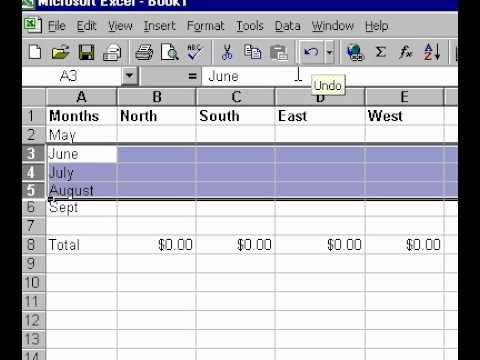 Microsoft Office Excel 2000 Seçerek Hücreleri