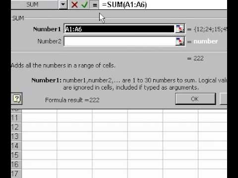 Microsoft Office Excel 2000 Yapıştır İşlev Diyalog