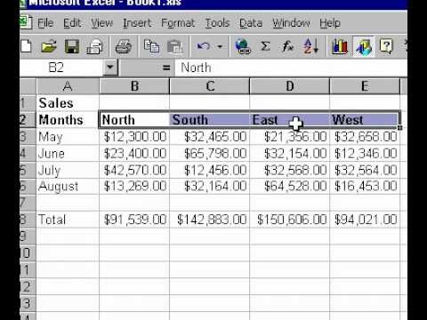 Verileri Microsoft Office Excel 2000 Hizalama