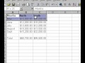 Microsoft Office Excel 2000 Kopyalama Veri Çalışma Kitapları Arasında