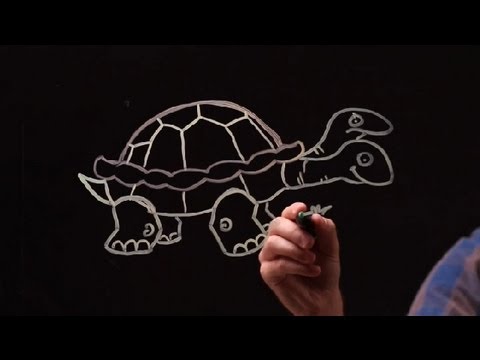 İki Başlı Bir Kaplumbağa Çizmek İçin Nasıl : Beraberlik İçin Nasıl  Resim 1